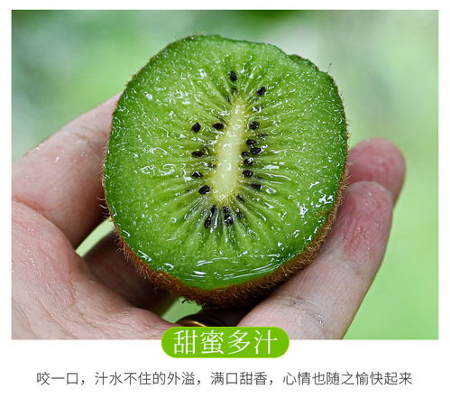 陕西翠香猕猴桃 当季绿心，孕妈和家人都爱的自然甜味