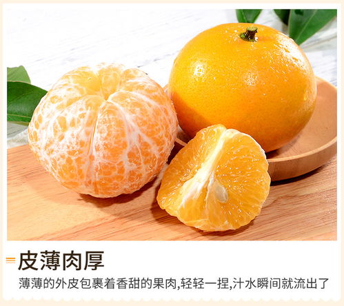 枝头到舌尖的鲜甜盛宴 现摘现发的沙糖桔与蜜桔