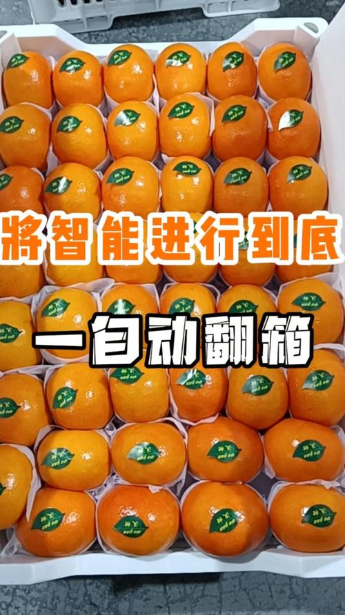 简单快速洗果子,水果加工厂如何做到